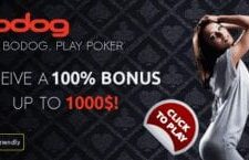 Bodog – Nhà cái cá cược quốc tế dành cho game thủ đam mê các thể loại game cá cược