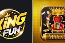 So sánh Max.Vin với King Fun xem có gì thú vị trong 5 phút?