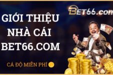 Bet66 – Nhà cái hàng đầu Châu Á, đổi thưởng cực nhanh 