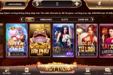 Sunwin vs May Club, Cổng Game Nào Hỗ Trợ Nhiều Thiết Bị Hơn?